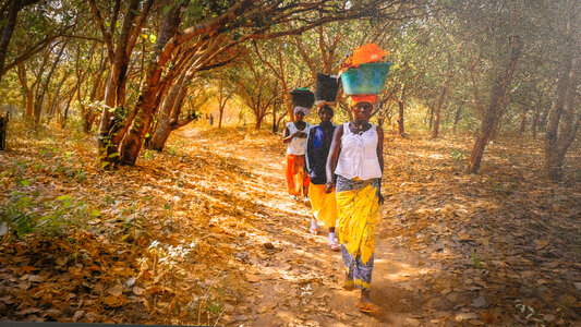 Unidentified African women walking with water containers photo
