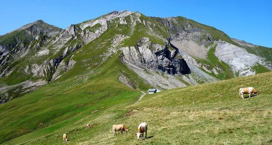 Hiking Path on Schynige Platte, Switzerland