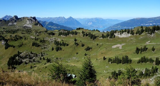 Hiking Path on Schynige Platte, Switzerland