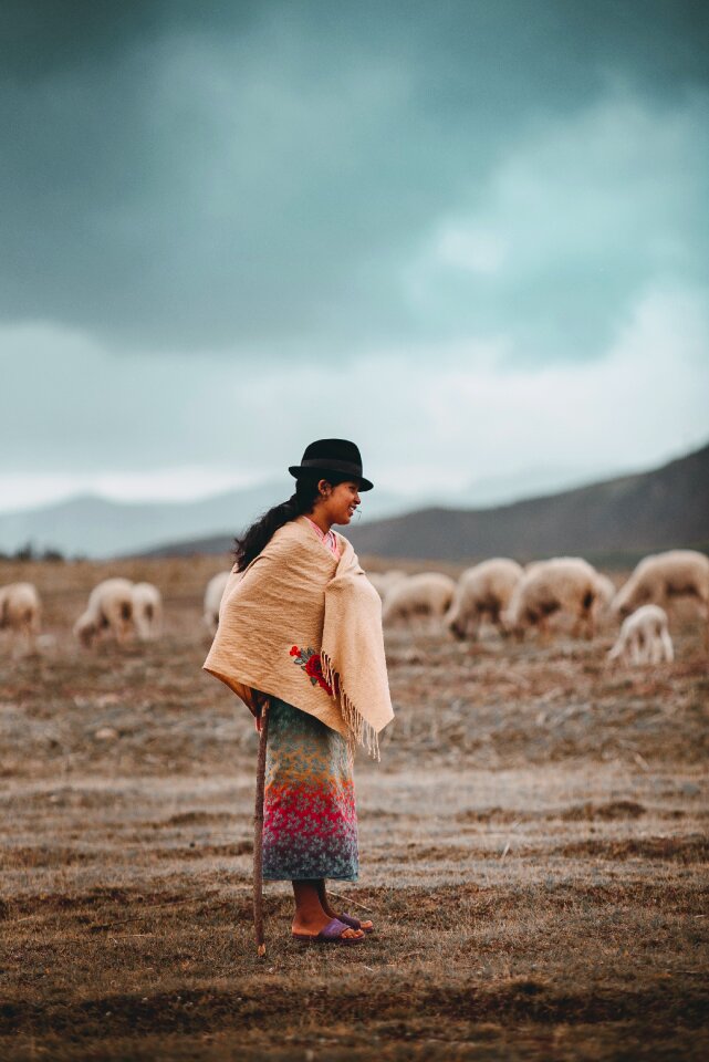 a young lady walking with her Alpacas in the valley