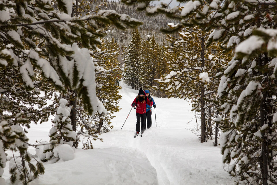hikers on the trail in the Yellowstone National Park