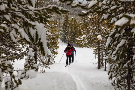 hikers on the trail in the Yellowstone National Park