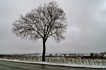 winter snow road place