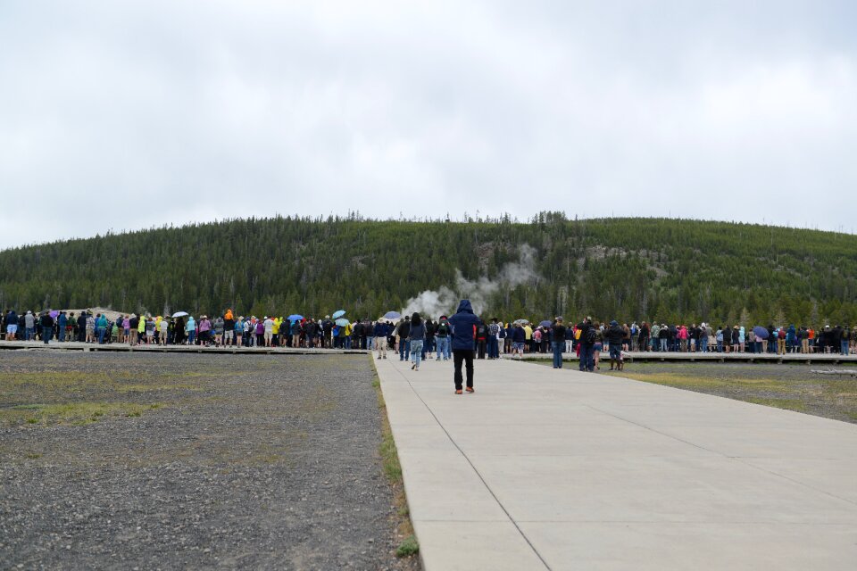 Old Faithful Geyser Eruption in Yellowstone National Park