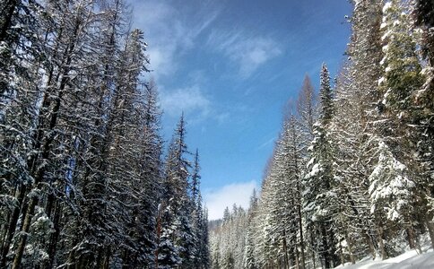 Snowshoeing along the Kettle Crest Trail photo