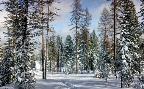 Snowshoeing along the Kettle Crest Trail photo