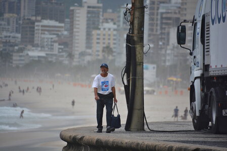 Palms and Two Brothers Mountain on Ipanema beach