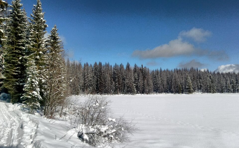 The trail at Frater Lake on the Colville National Forest