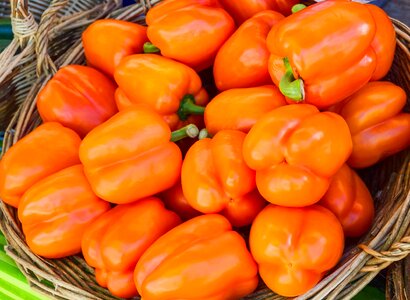 colorful bell peppers, natural background photo