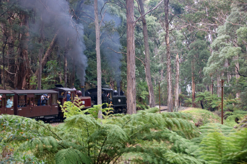 The Puffing Billy narrow gauge steam train