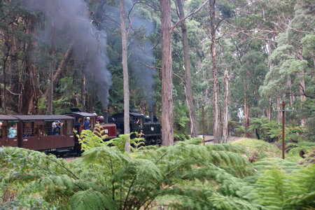 The Puffing Billy narrow gauge steam train