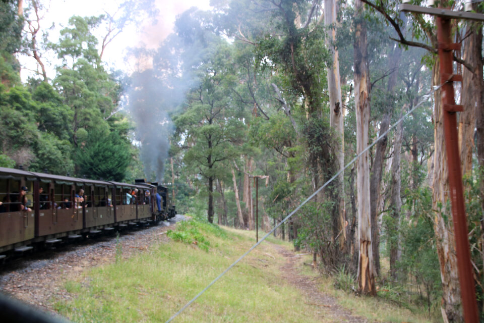 The Puffing Billy narrow gauge steam train