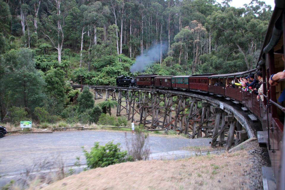 The Puffing Billy narrow gauge steam train
