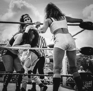 Women's professional wrestling