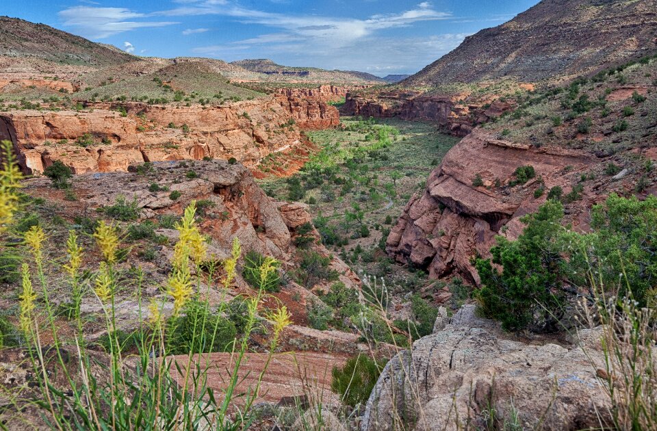 Dominguez Escalante National Conservation Area