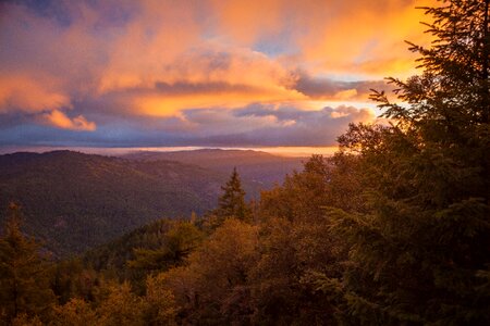 Lacks Creek watershed northwest of Arcata, Calif