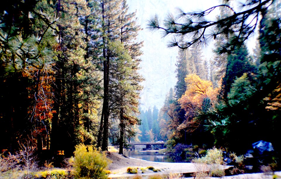 Yosemite National Park