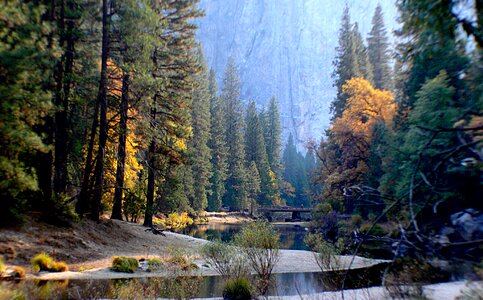Yosemite National Park