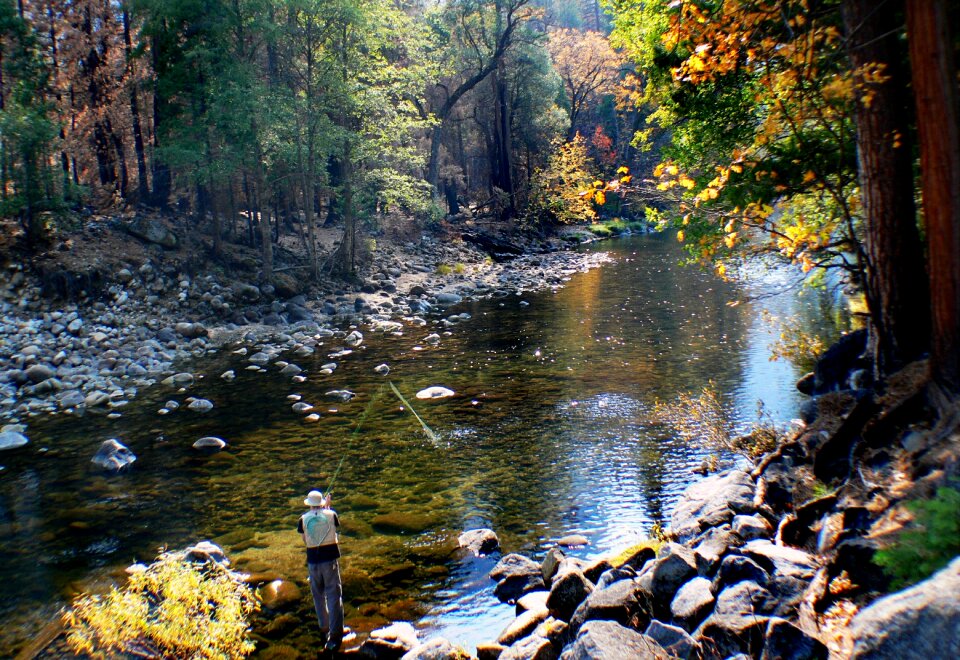 fishing in Yosemite National Park