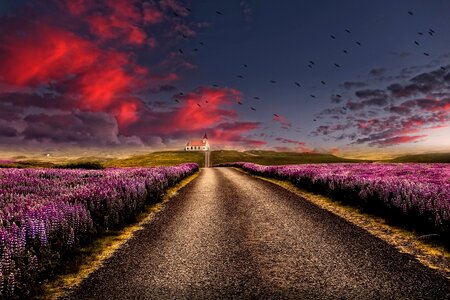 a quiet road photo