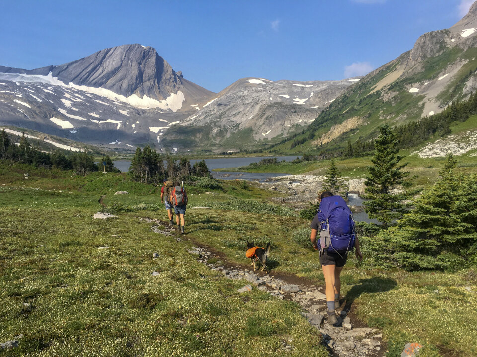 hikers in the mountains