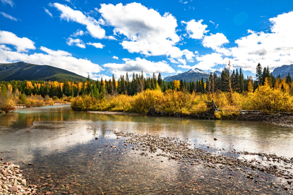 Flathead National Forest in Montana