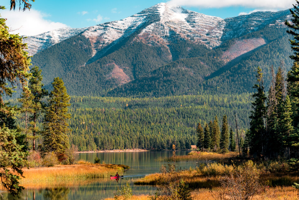 Flathead National Forest in Montana