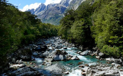 Tutuko River Fiordland National Park