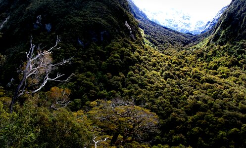 Marian Valley Fiordland National Park