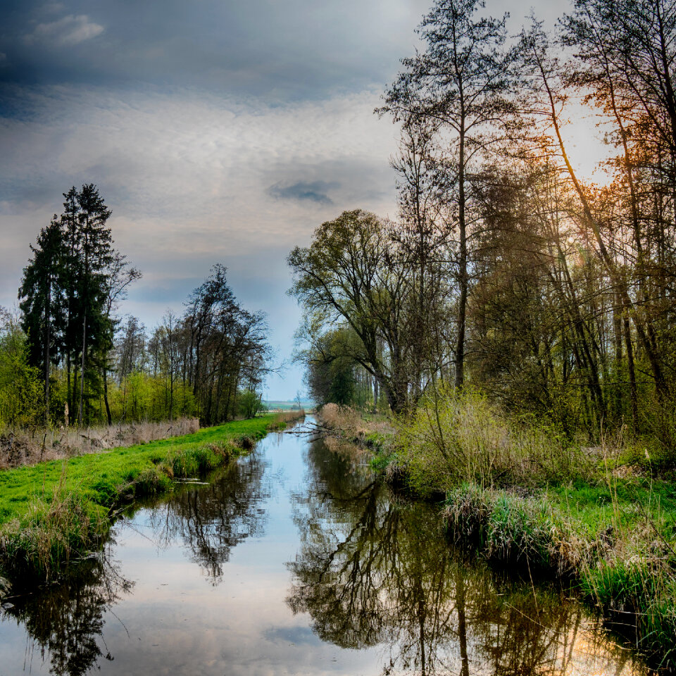 spring landscape