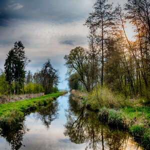 spring landscape