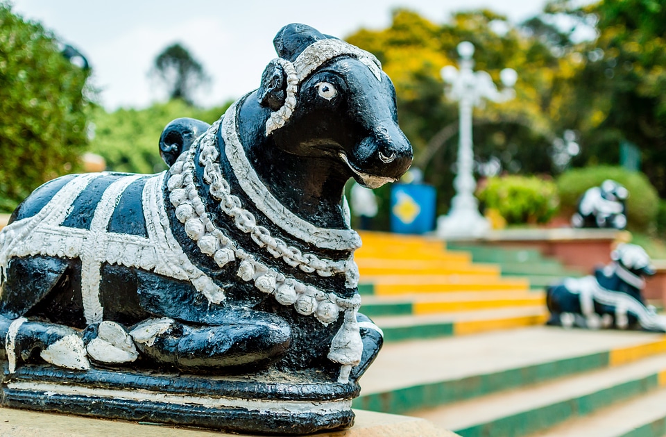 Shrine nandi park photo