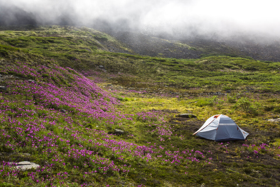 Camping in the Fog