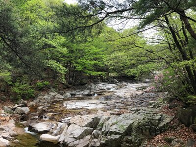 Gajisan state park in South Korea
