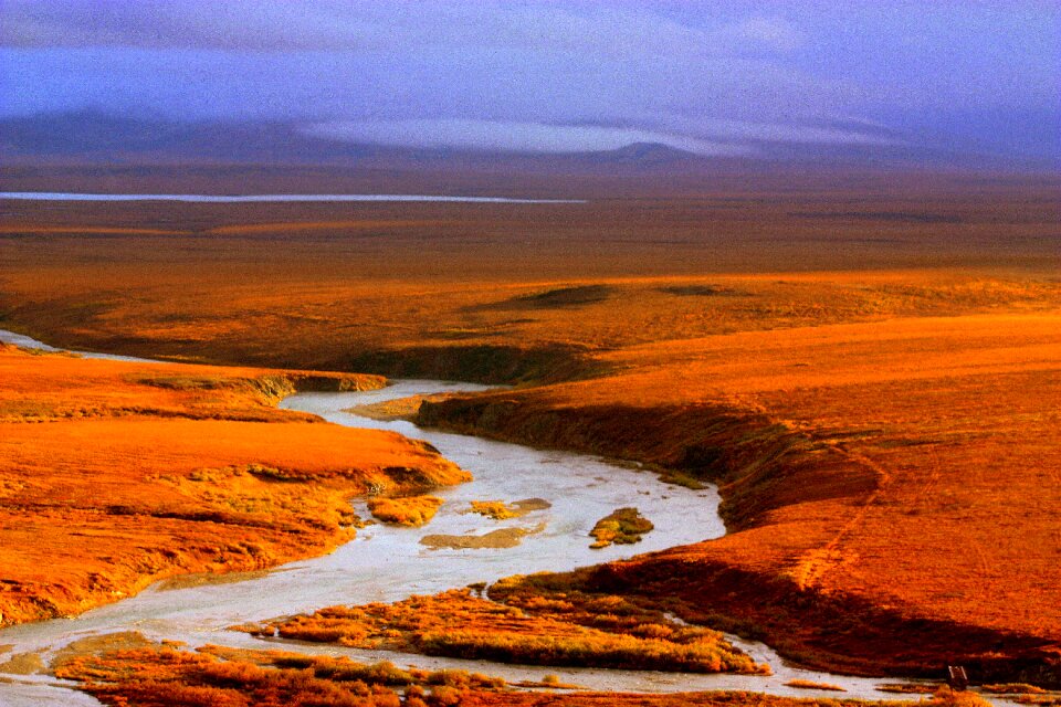 Bering Land Bridge National Preserve