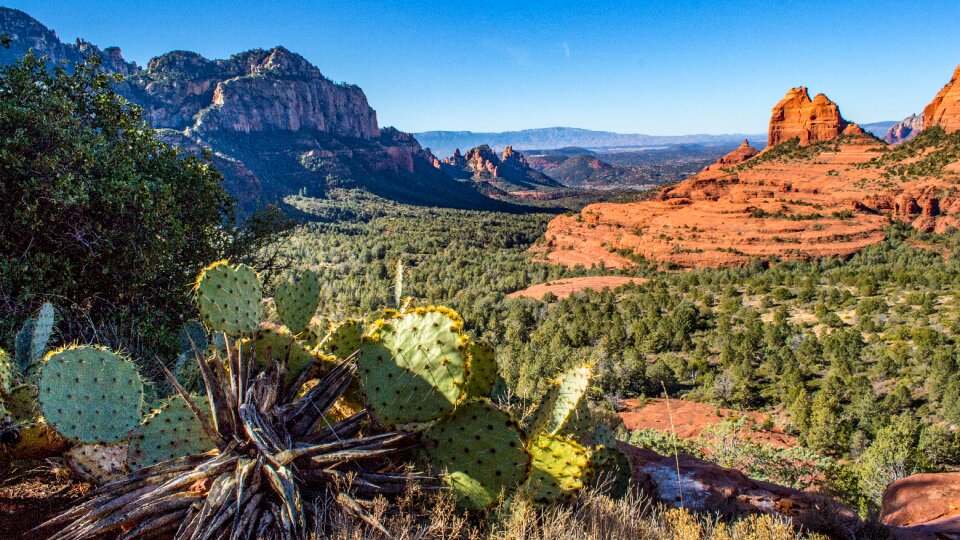 Coconino National Forest in Arizona
