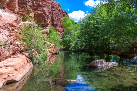 Coconino National Forest in Arizona