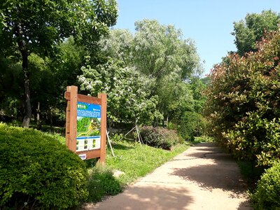 Hwamyeong Arboretum in Busan Korea