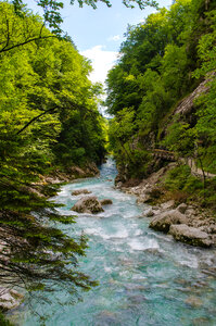 River rafting in the forests photo