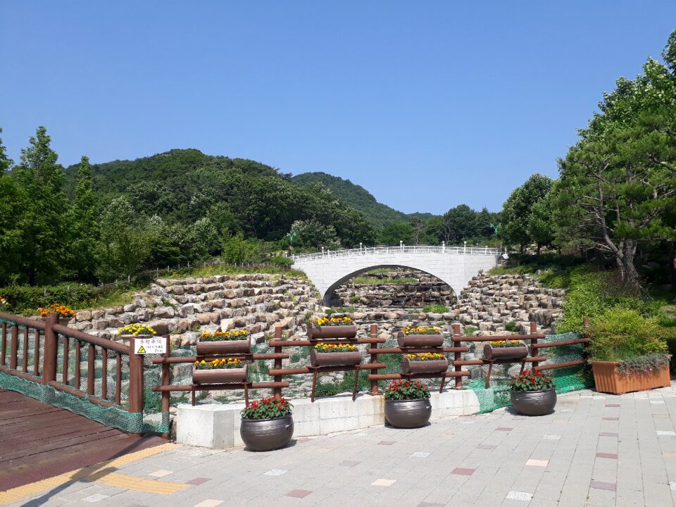 Hwamyeong Arboretum in Busan Korea