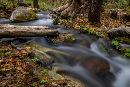 Autumn at Fossil Springs in Coconino National Forest photo