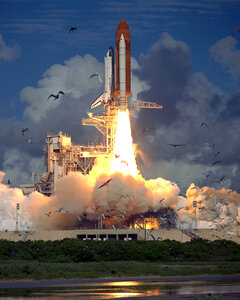 A flock of birds takes flight as Space Shuttle Endeavour photo