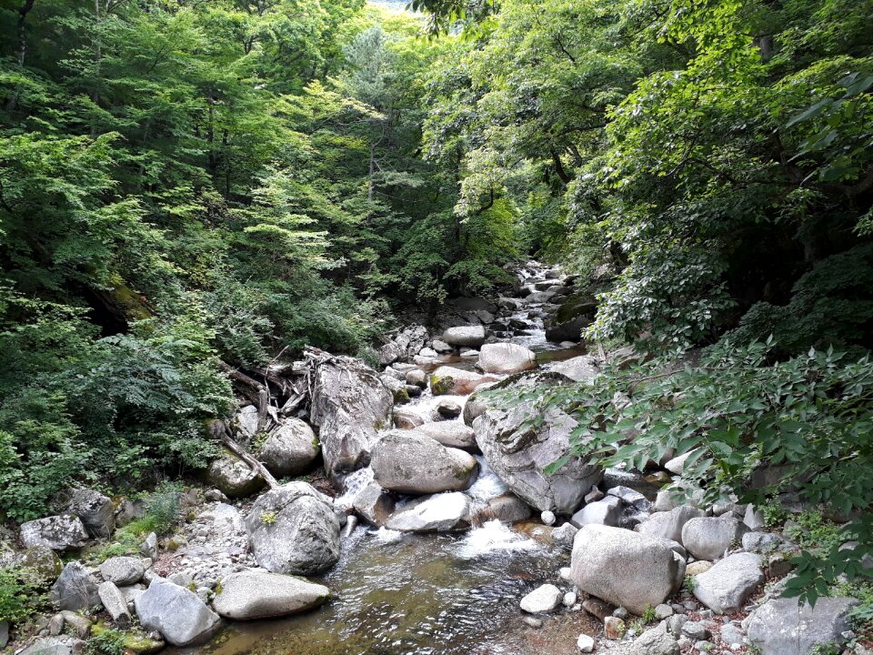 Gayasan National Park in South Korea