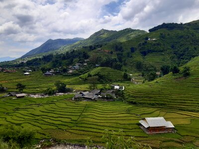 Mu Cang Chai, terraced rice field landscape photo
