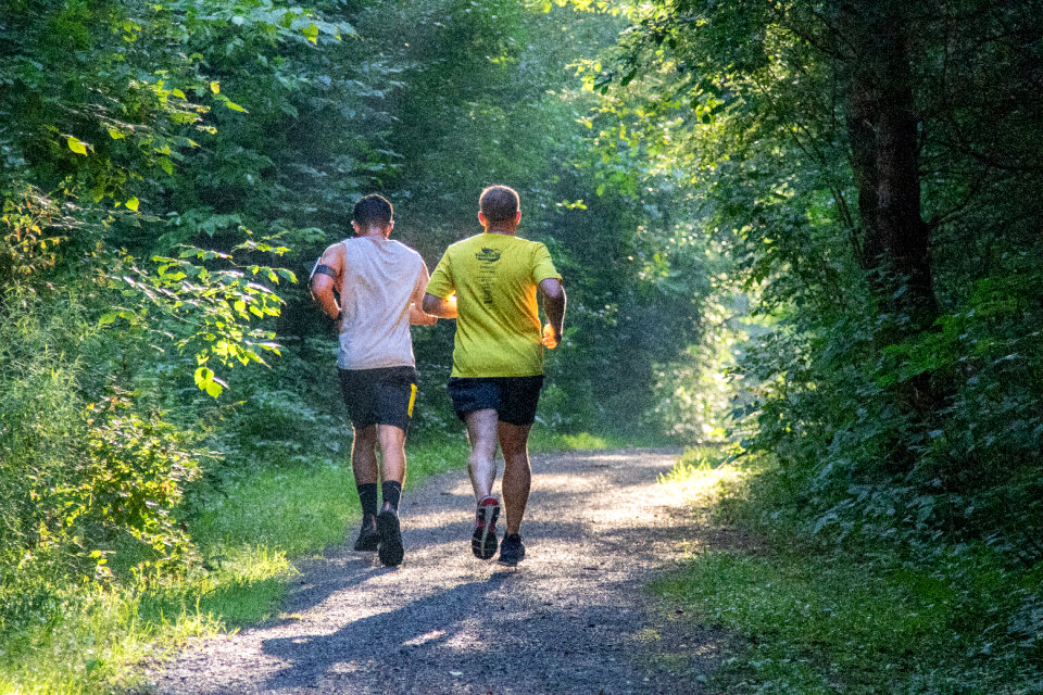 Group of young people trail running on a mountain path