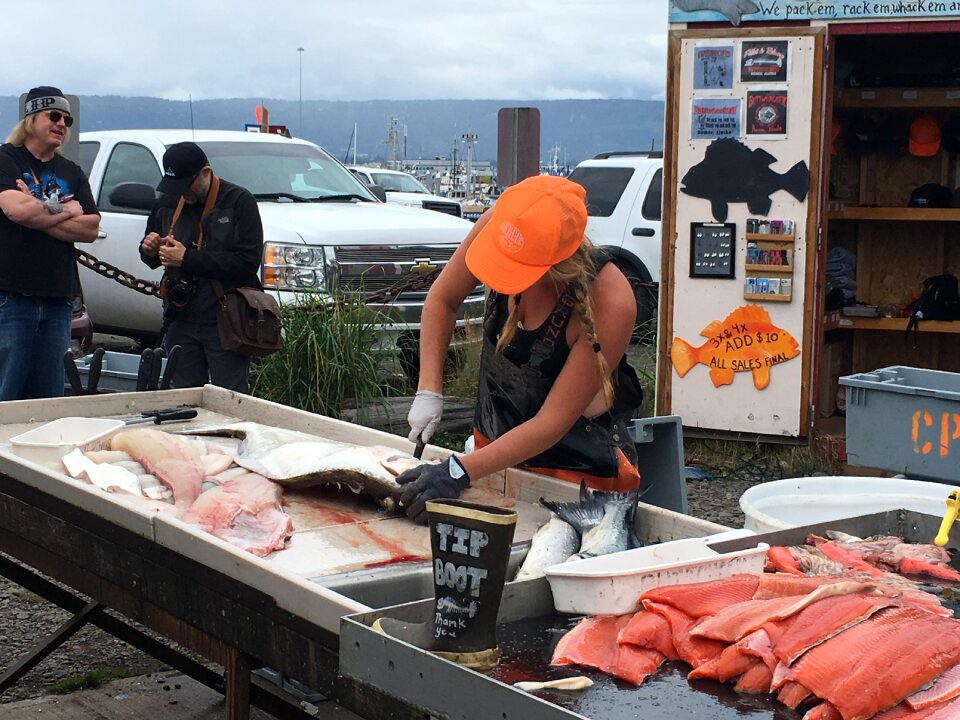 Cleaning several salmon fish near Seward, Alaska