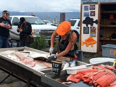 Cleaning several salmon fish near Seward, Alaska
