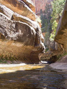 Narrows in Zion National Park, Utah photo