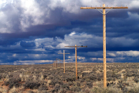 Utility pole in national park