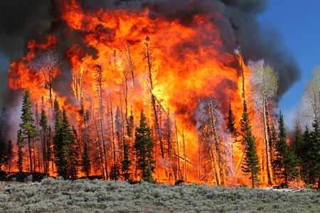 Flames and smoke rise from the South Monroe